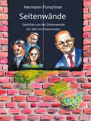 cover image of Seitenwände